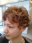 メンズヘアー1/2